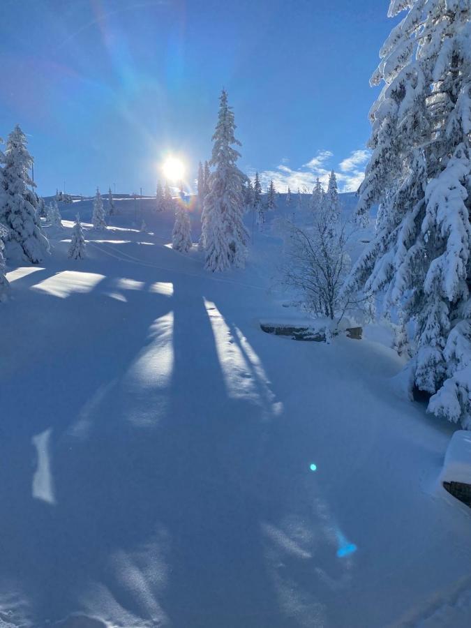 Vila Olimpik House Jahorina Exteriér fotografie