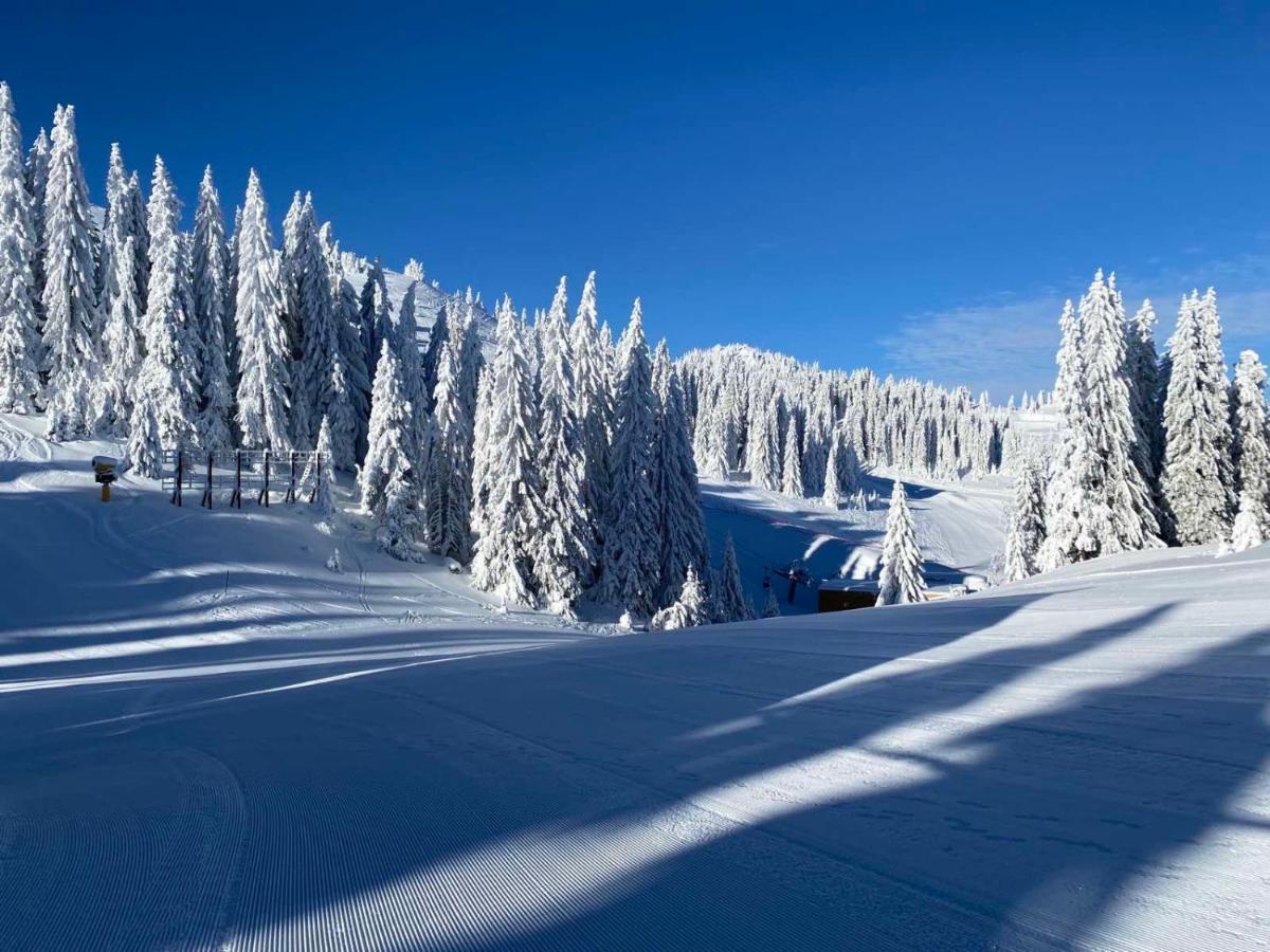 Vila Olimpik House Jahorina Exteriér fotografie