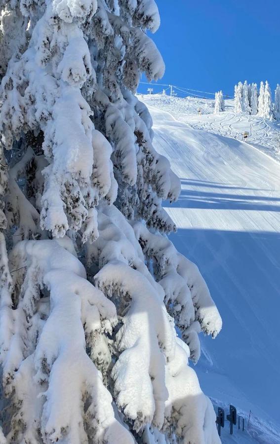 Vila Olimpik House Jahorina Exteriér fotografie